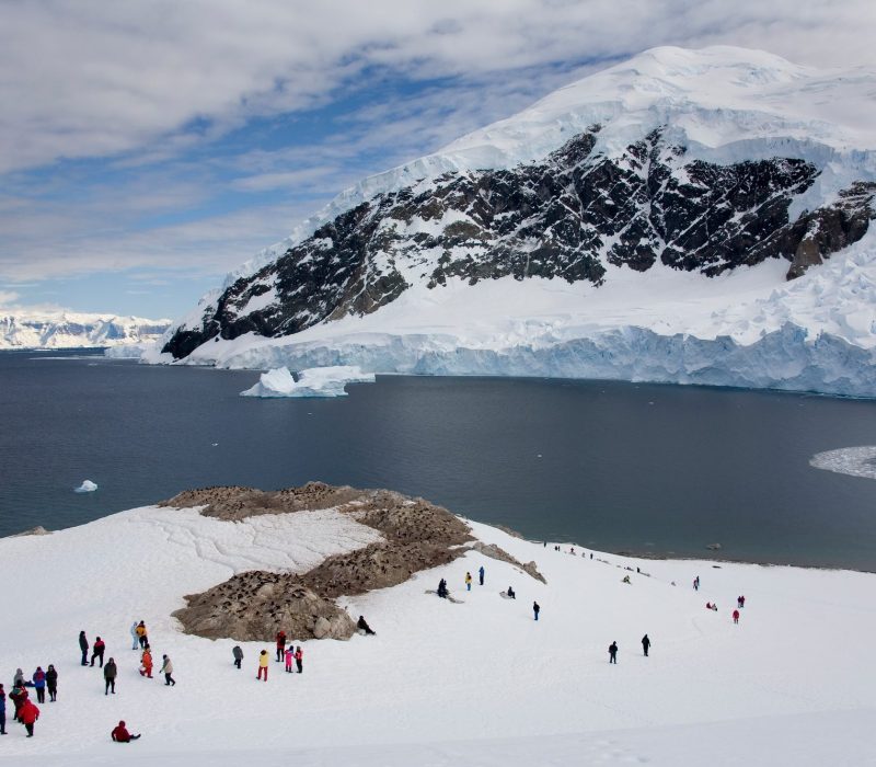Antarctica
